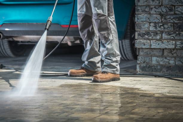 Best Pre-Holiday Cleaning  in Loves Park, IL